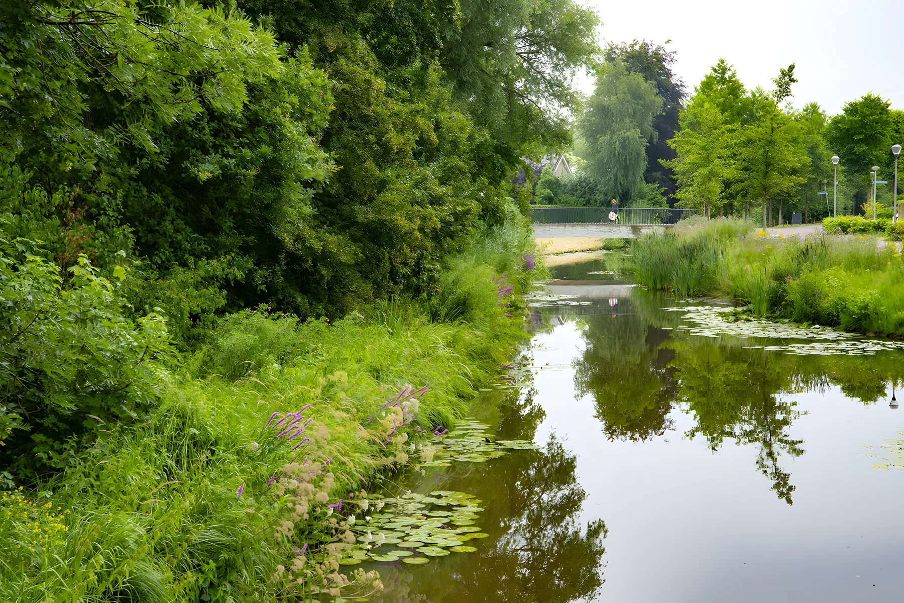 Hervensche Park, ’s-Hertogenbosch. Een project van Slokker Vastgoed.