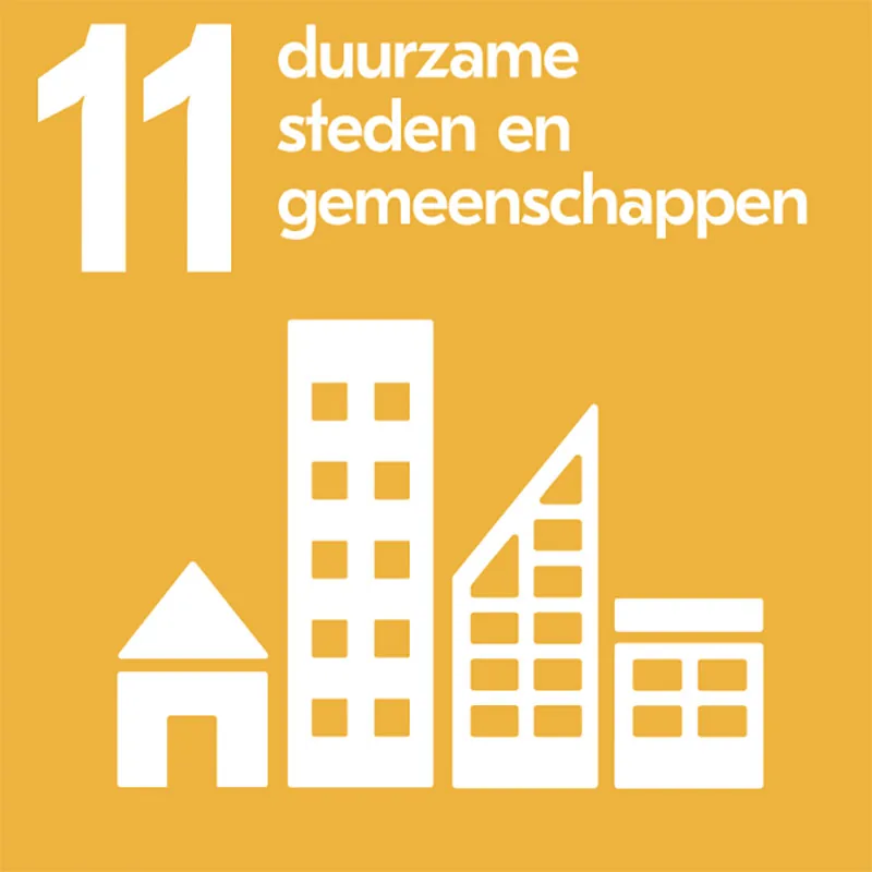 Duurzaam ontwikkelingsdoel 11: Duurzame steden en gemeenschappen