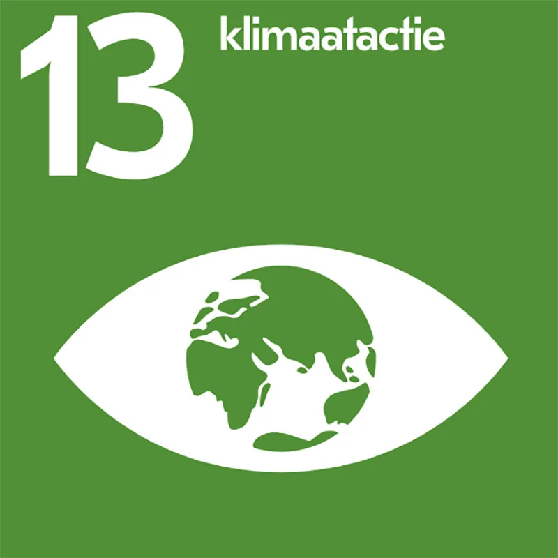 Duurzaam ontwikkelingsdoel 13: Klimaatactie