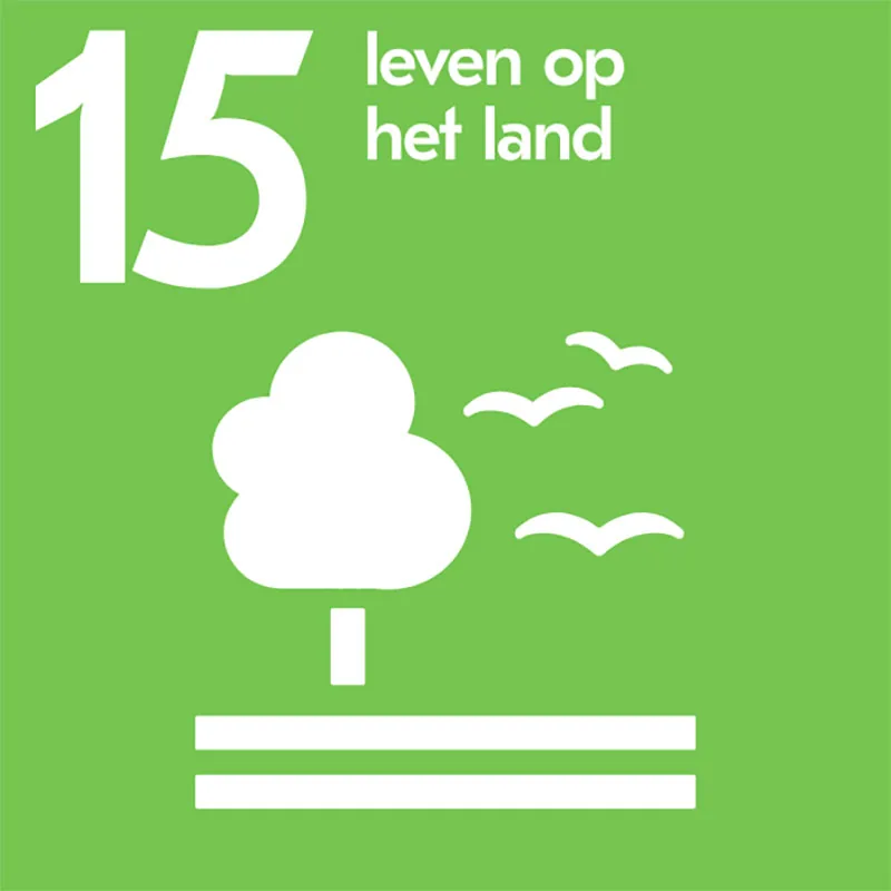 Duurzaam ontwikkelingsdoel 15: Leven op het land